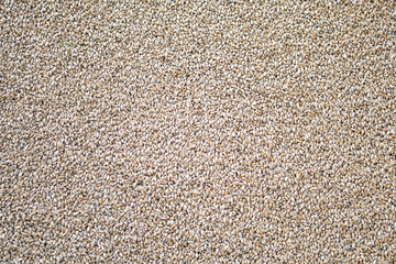 Texture of grains and golden seeds. Wheat and rye as food. Stock background, photo