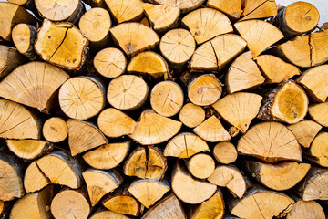 Piled Wood Logs