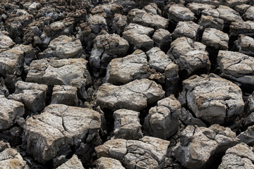 Dry surface of the earth texture cracked. soil background ground mix with sea water, it is land in dry season. Global warming, drought concept.
