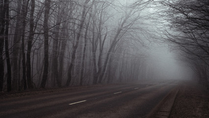 Fototapeta na wymiar Misty highway