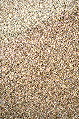 Texture of grains and golden seeds. Wheat and rye as food. Stock background, photo