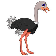 Cute ostrich cartoon