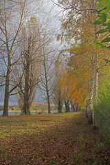 Fototapeta premium Herbststimmung