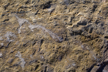 stone texture or background