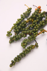 コショウの果実