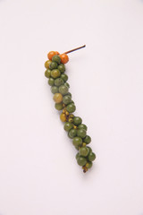 コショウの果実