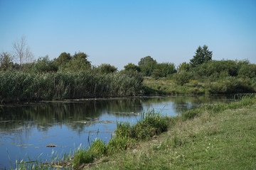 Fototapeta premium Pretty river in rural areas. European landscape of Russia and Siberia. Beautiful tranquil view of nature. Stock background, photo.