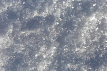 Fototapeta premium Szara tekstura powierzchni śniegu z płatkami śniegu. Zima w tle.