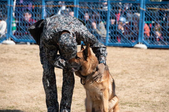 31 Best 警備犬 Images Stock Photos Vectors Adobe Stock 31 Best 警備犬 Images Stock Photos Vectors Adobe Stock