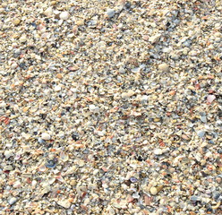 Meeressand und Muscheln als Hintergrund