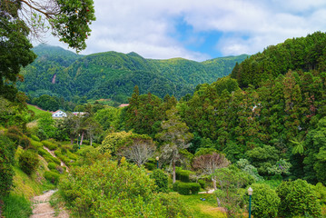 Fototapeta na wymiar Landscape of Furnas valley on Sao Miguel island of Azores, Portugal, with mountains on background.
