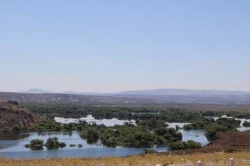 pampa