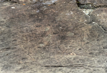   Rock petroglyphs in the tract Kalbak-Tash