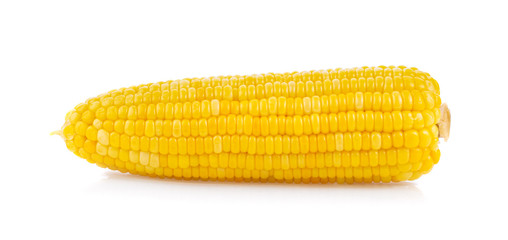 corn on white background