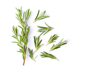 Obraz premium Rosemary isolated on white background, Top view.