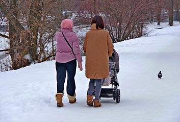 Winter. City. Two girls with a stroller walk along the snowy path, they are accompanied by a dove.