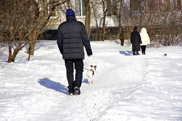 Winter in the city. Two ladies and a man with a dog walk on a sunny day along a snowy road.