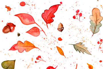 autumn leaves background. acorns. watercolor