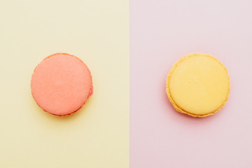 Two macaroons on a different color background