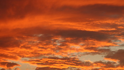 Obraz premium Background of the Red cloud