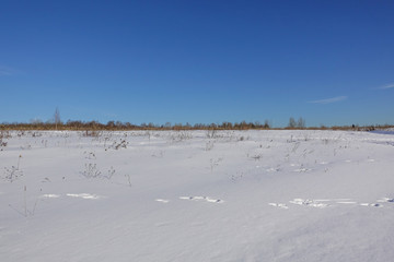 Fototapeta na wymiar Snow-covered field. And the blue sky. Frosty winter day.