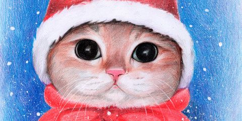 The cat in the hat of Santa Claus. Christmas. new Year. illustration with colored pencils. snow