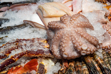 a fresh octopus on a stand at the fish market
