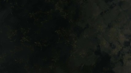 An arty bird`s eye view of a motorboat on the picturesque sunset