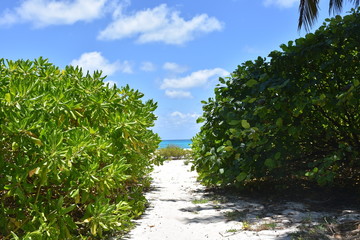 Bird Island - Seychellen