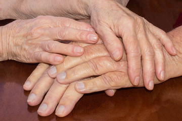 Fototapeta premium Old people holding hands. Closeup.