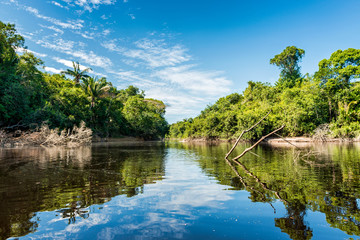 Fototapeta na wymiar Beautiful blue sky reflecting in the Amazonia Basin river. Corocoro river goes along Yutaje Community whicth mean in the native language: River Foam (Espuma del Rio)