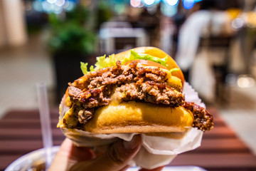 Famous hamburger of Eastern america, USA