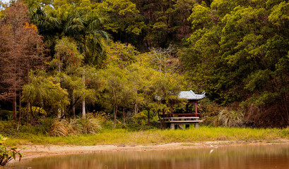 Chinese gazebo in nature with a beautiful view and a pond with birds
