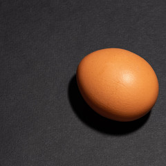 chicken egg with brown shell on black background