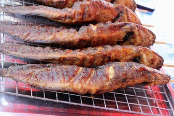 Grilled fish is delicious at street food