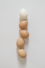 five brown and white eggs lie in a straight line. White background for lettering