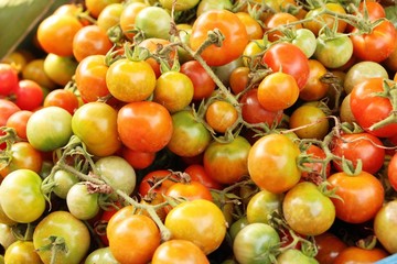 Fresh tomatoes for cooking in street food