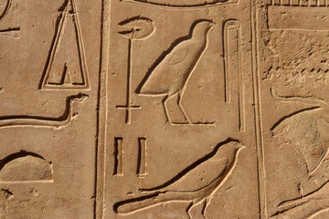 Ancient egyptian hieroglyphs on the wall in Karnak Temple Complex in Luxor, Egypt