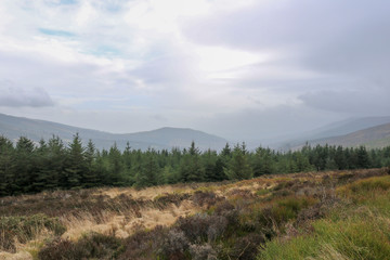 Beautiful nature and landscapes of Ireland.