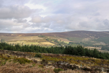 Beautiful nature and landscapes of Ireland.