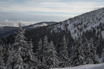 Zima w górach. Karkonosze, Dolnośląskie, Polska, Europa