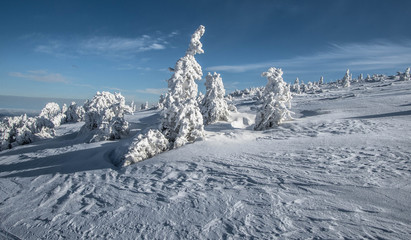 Zima w g&oacute;rach. Karkonosze, Europa , Polska