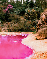 the poisonous color of the lake. the unusual nature