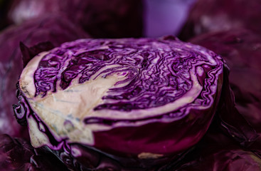 Fototapeta premium Red Cabbage