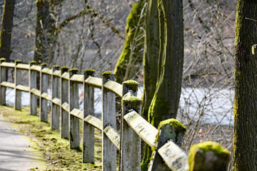 Lüdenscheid Fürwiggetalsperre Wanderweg mit Moos auf Geländer