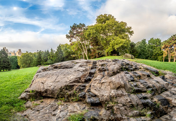 Central Park in late summer