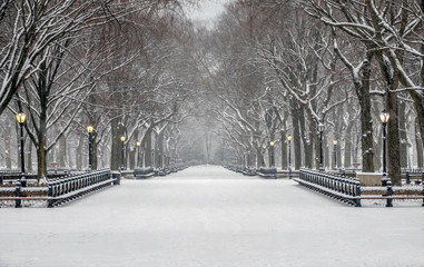 Central Park, New York City in winter - obrazy, fototapety, plakaty