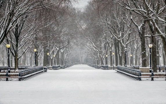 Central Park, New York City in winter