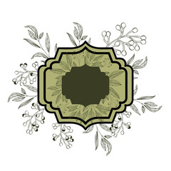 frame with plants and herbs isolated icon