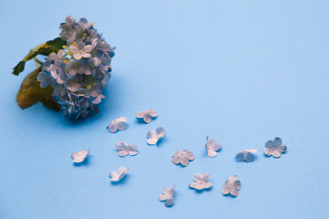 Delicate blue flowers on a blue background